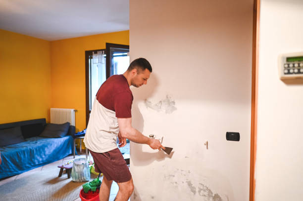 Best Mold Testing  in Limon, CO